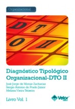 DTO II – Diagnóstico Tipológico Organizacional